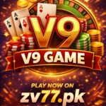 V9 Game