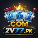 P67 Game
