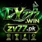 TY777 WIN Game